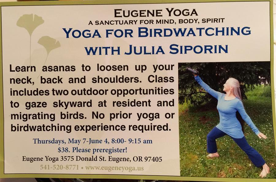 Yoga for Birdwatching 2015